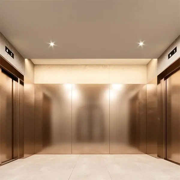 Customised SUS304 hotel lift cladding wall panels