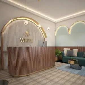 Metal Curved Stainless Steel Gold Partition Frame wholesale