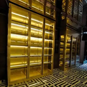Custom Luxury Stainless Steel Wine Cabinet with LED Lighting